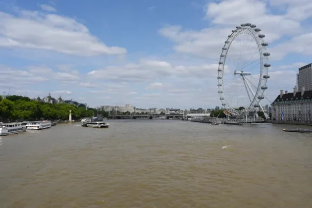 Обзор Sony FX2: доступная камера для гибридных проектов фото