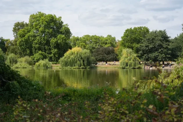 Обзор Sony FX2: доступная камера для гибридных проектов фото