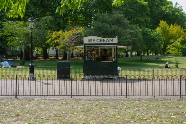 Обзор Sony FX2: доступная камера для гибридных проектов фото