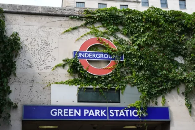 Обзор Sony FX2: доступная камера для гибридных проектов фото