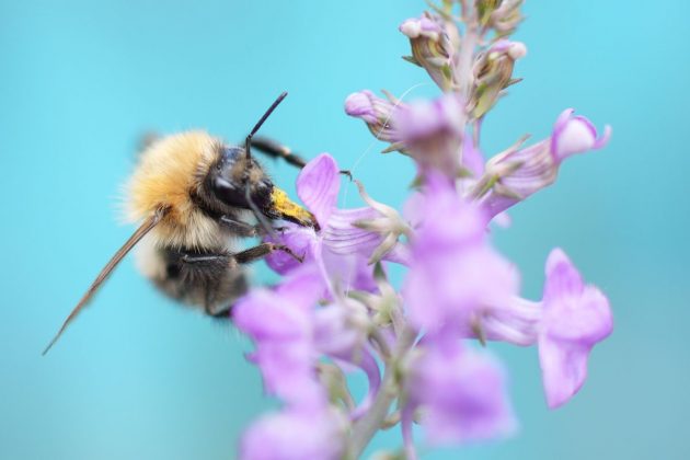 Sony RX1R III компактность и цена_