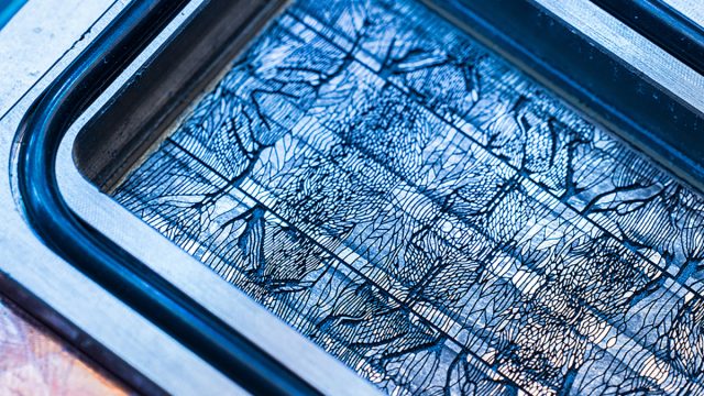 Эра энергоэффективных дата-центров: Microsoft представляет ИИ-охлаждение