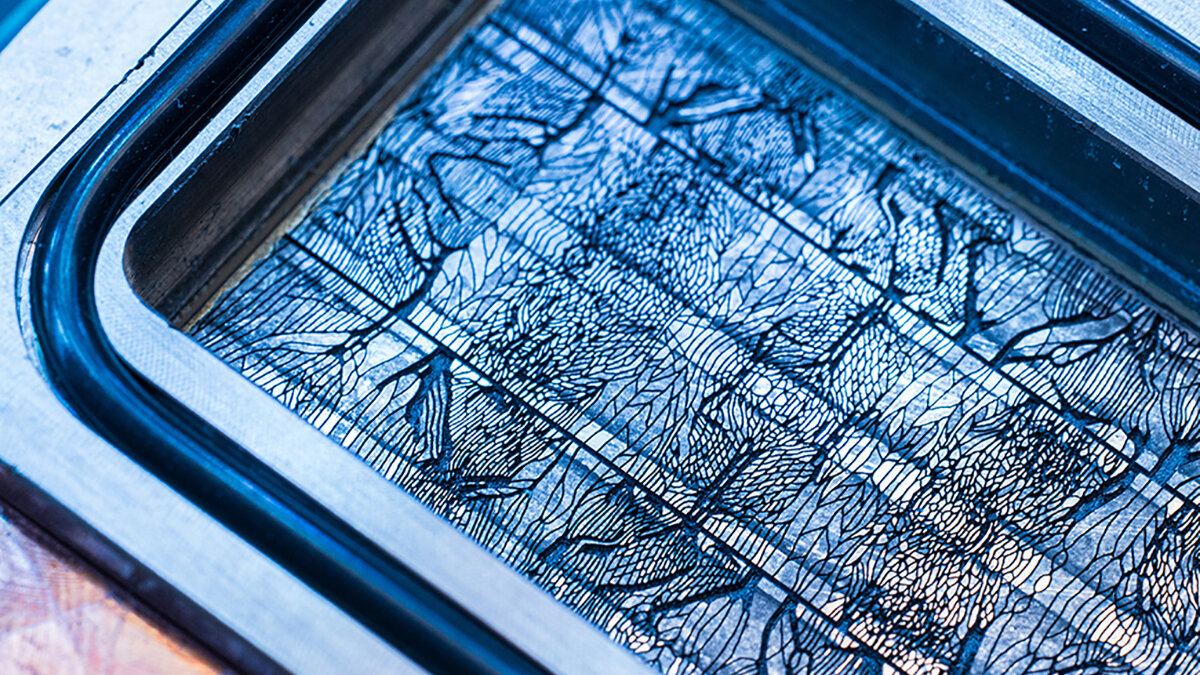 484509Эра энергоэффективных дата-центров: Microsoft представляет ИИ-охлаждение