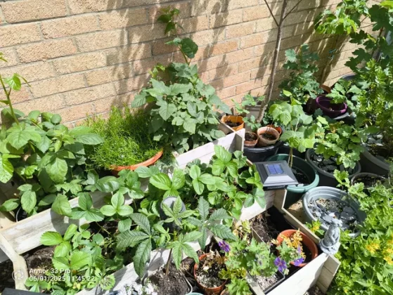 Обзор Ulefone Armor 33 Pro: тяжеловес во всех смыслах фото