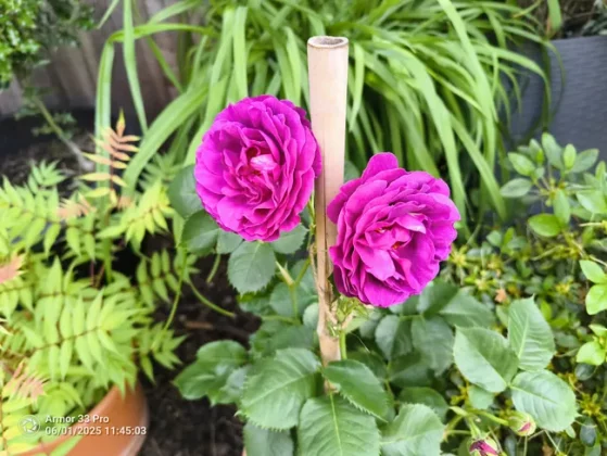 Обзор Ulefone Armor 33 Pro: тяжеловес во всех смыслах фото