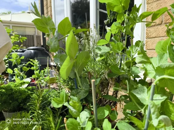 Обзор Ulefone Armor 33 Pro: тяжеловес во всех смыслах фото