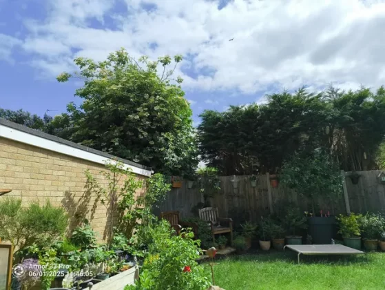 Обзор Ulefone Armor 33 Pro: тяжеловес во всех смыслах фото