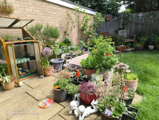 Обзор Ulefone Armor 33 Pro: тяжеловес во всех смыслах фото