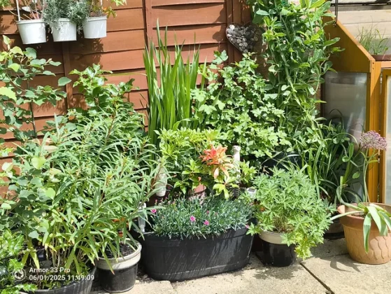 Обзор Ulefone Armor 33 Pro: тяжеловес во всех смыслах фото