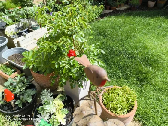 Обзор Ulefone Armor 33 Pro: тяжеловес во всех смыслах фото