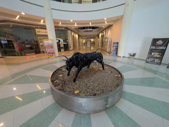 Google Pixel 10 и Pixel 9