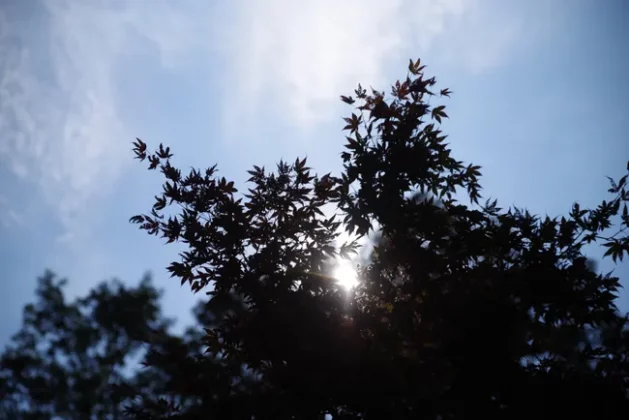 Pentax-D FA 24-70mm f/2.8: