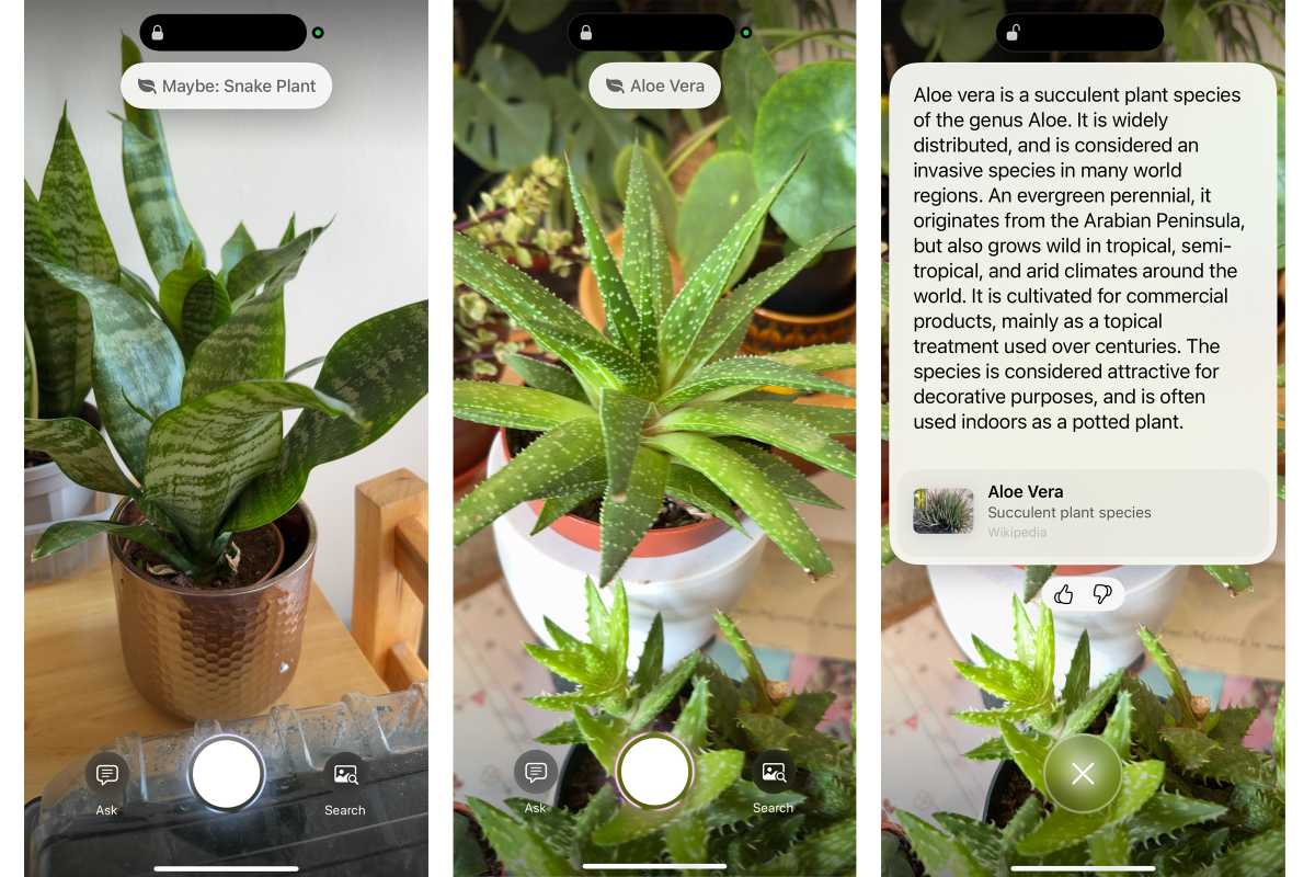 Ваш iPhone может больше! 11 скрытых функций, которые вы упускаете картинка Ваш iPhone может больше! 11 скрытых функций, которые вы упускаете