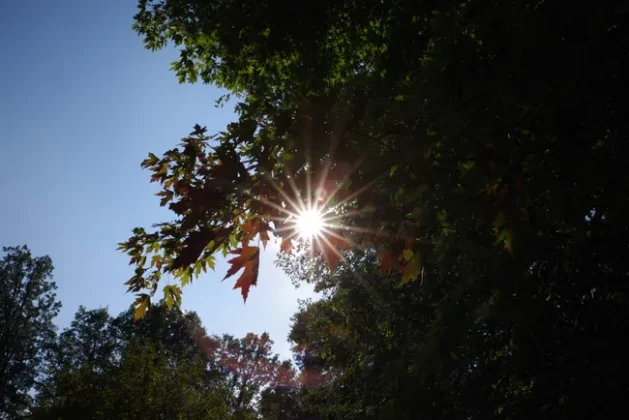 Pentax-D FA 24-70mm f/2.8: