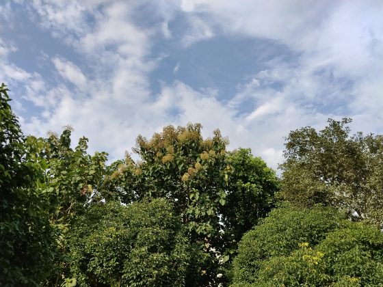 Обзор Xiaomi Redmi 15: шаг вперед или топтание на месте? фото