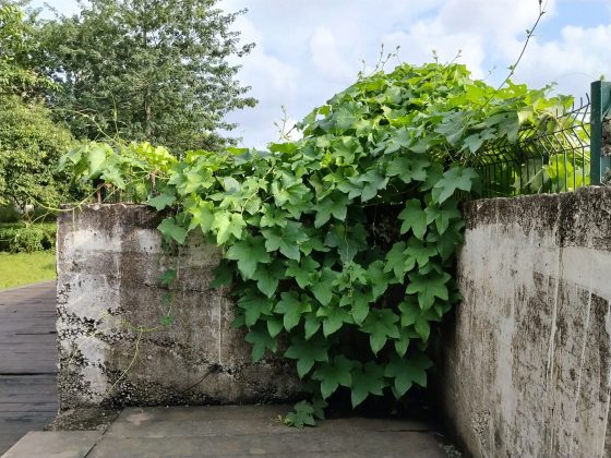 Обзор Xiaomi Redmi 15: шаг вперед или топтание на месте? фото