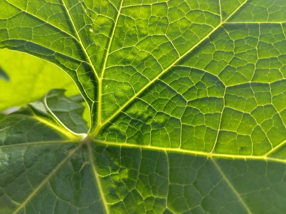 Обзор Xiaomi Redmi 15: шаг вперед или топтание на месте? фото