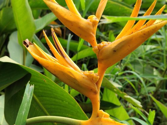 Обзор Xiaomi Redmi 15: шаг вперед или топтание на месте? фото