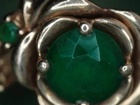 Zhongyi Mitakon 55mm f/2.8 1-5x Macro