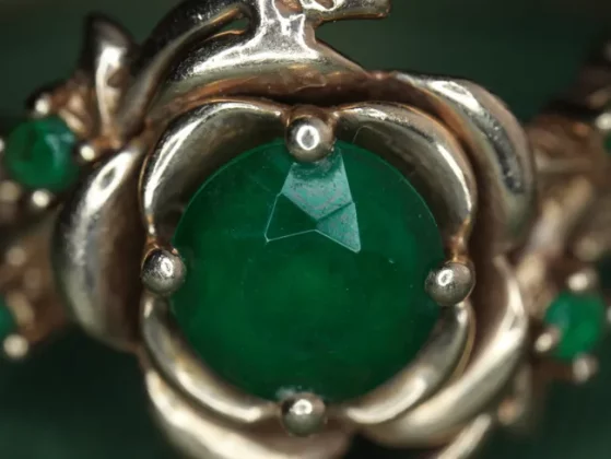 Zhongyi Mitakon 55mm f/2.8 1-5x Macro