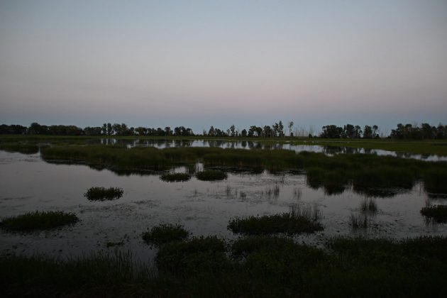 Забудьте про pro-камеры! Мой эксперимент с бюджетной техникой в путешествии. фото