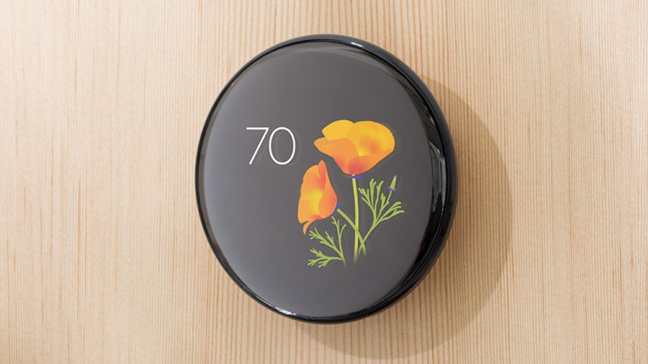 Nest Learning Thermostat 4 поколения, ботанические экраны