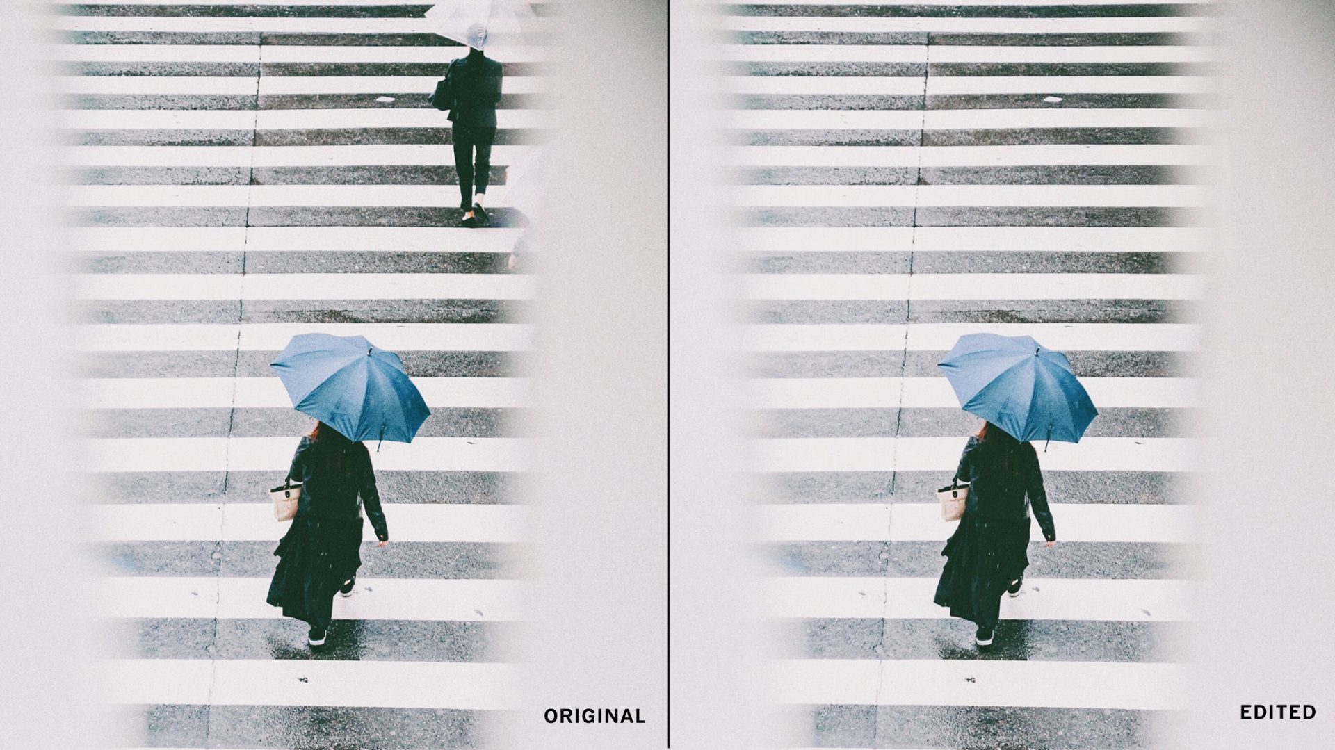 VSCO AI Lab: новый инструмент Remove для редактирования