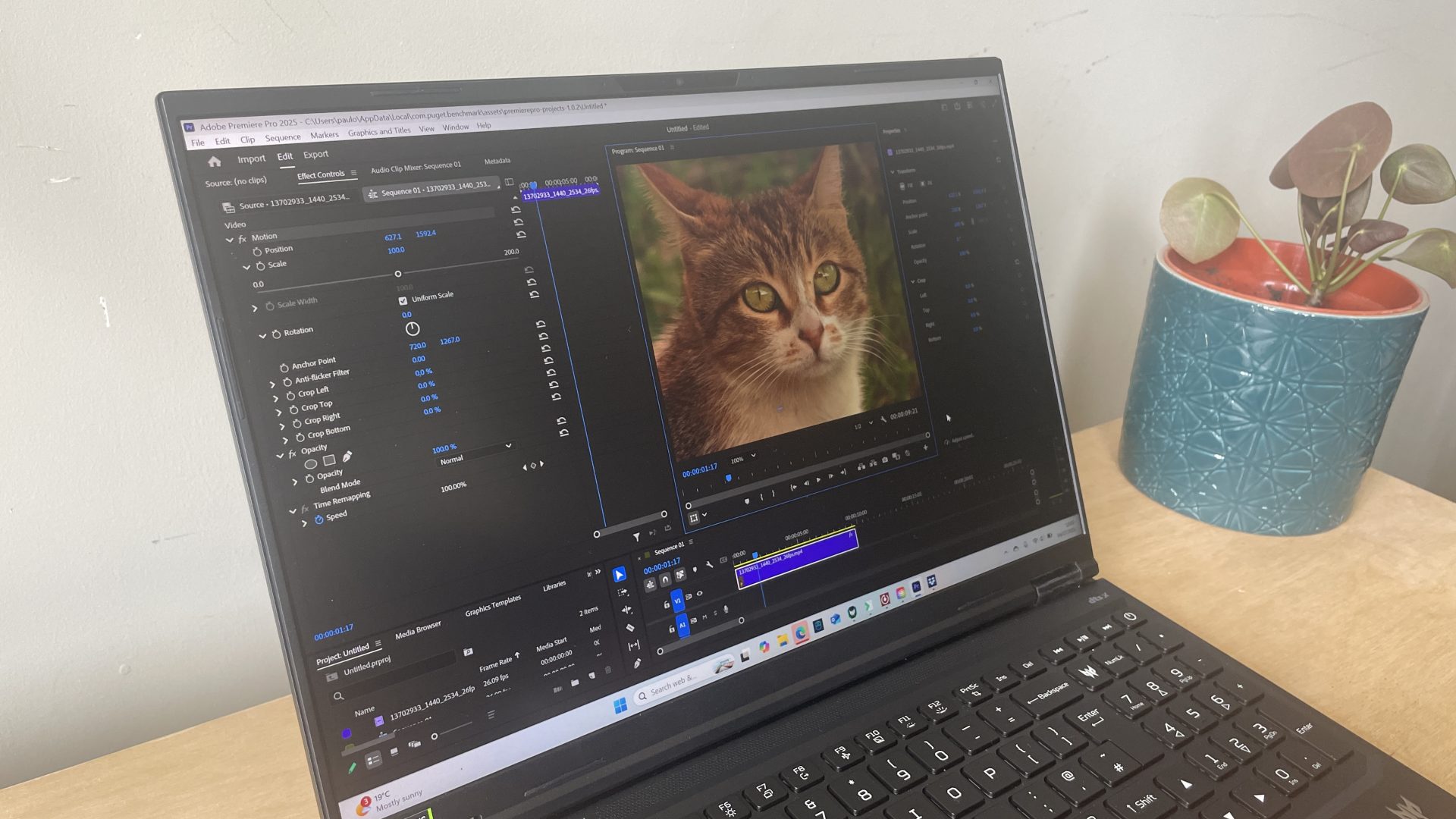 Обзор Acer Predator Helios Neo 16 AI — мощь для креатива