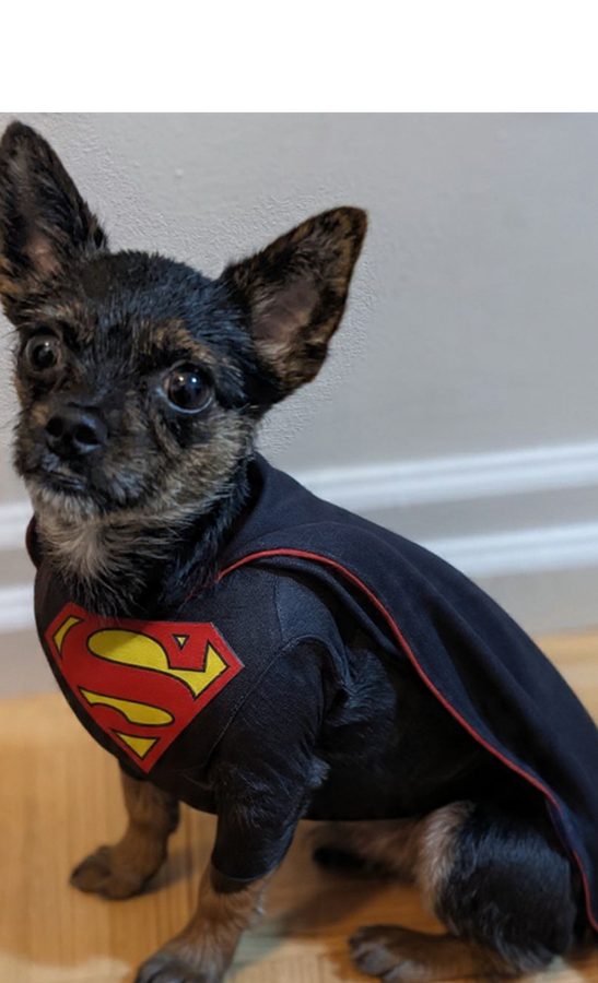 ИИ Instagram Restyle AI: превращаем сторис в шедевры