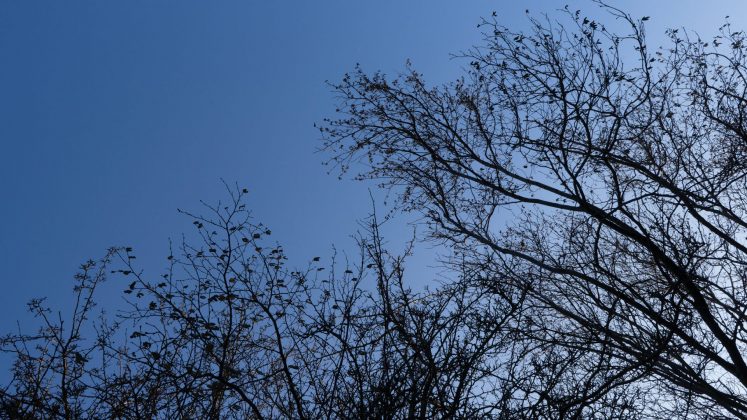 Пинхол-фотография: магия съёмки без объектива