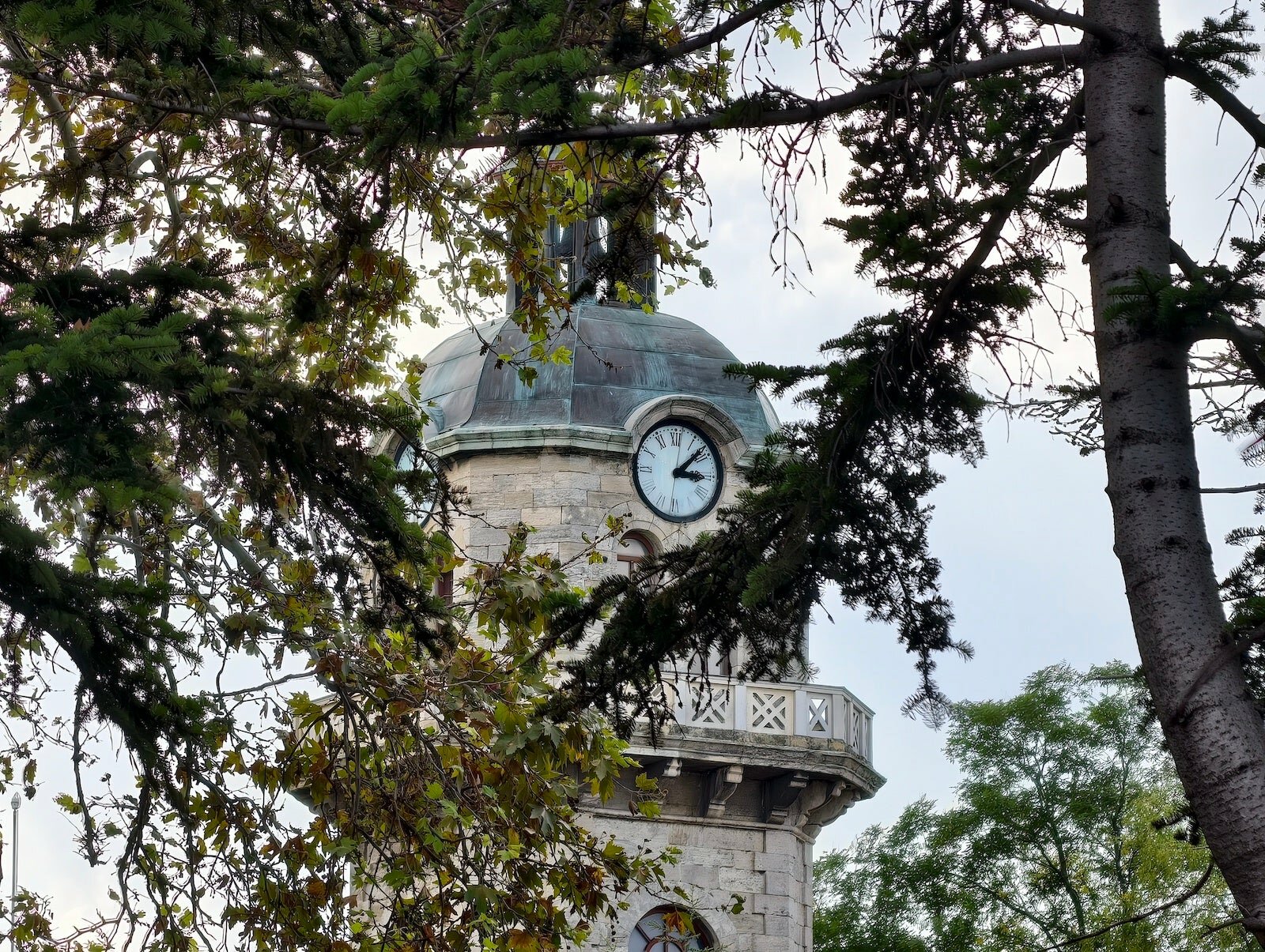 Vivo X300 Pro против Galaxy S25 Ultra: битва камер картинка Vivo X300 Pro против Galaxy S25 Ultra