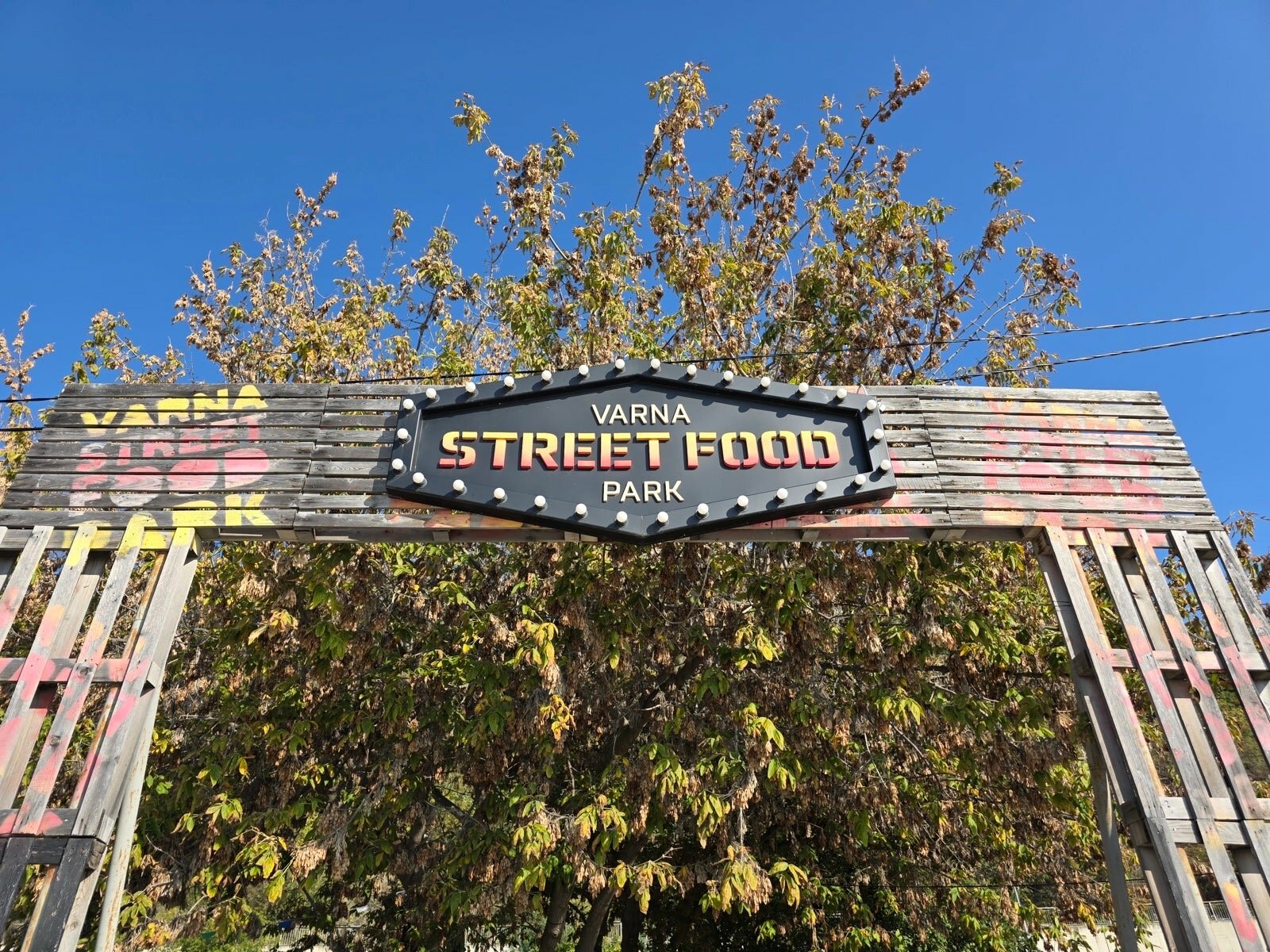 Сравнение камер Oppo Find X9 Pro и Galaxy S25 Ultra: чьи фотографии лучше? картинка Сравнение камер Oppo Find X9 Pro и Galaxy S25 Ultra: чья лучше?