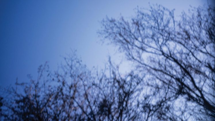 Пинхол-фотография: магия съёмки без объектива