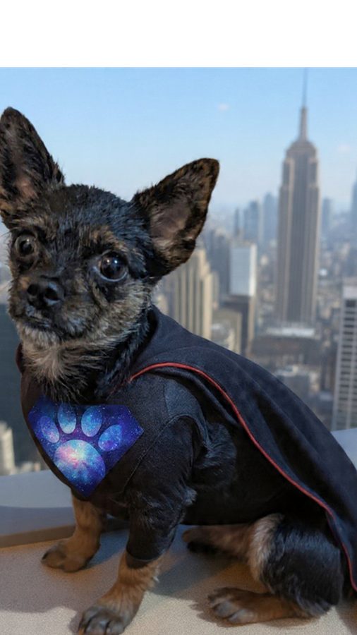 ИИ Instagram Restyle AI: превращаем сторис в шедевры