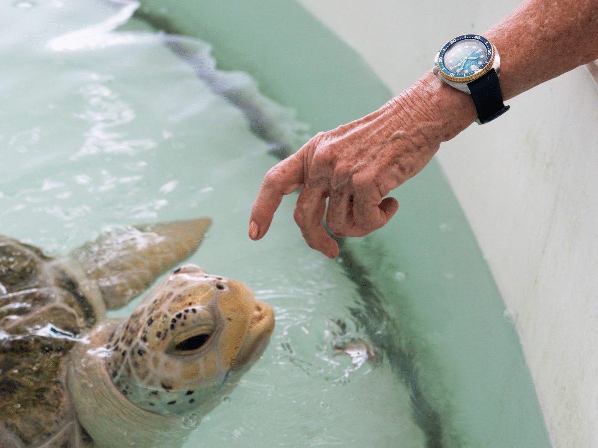 Seiko Prospex выпускает Diver's Australasian Limited Edition