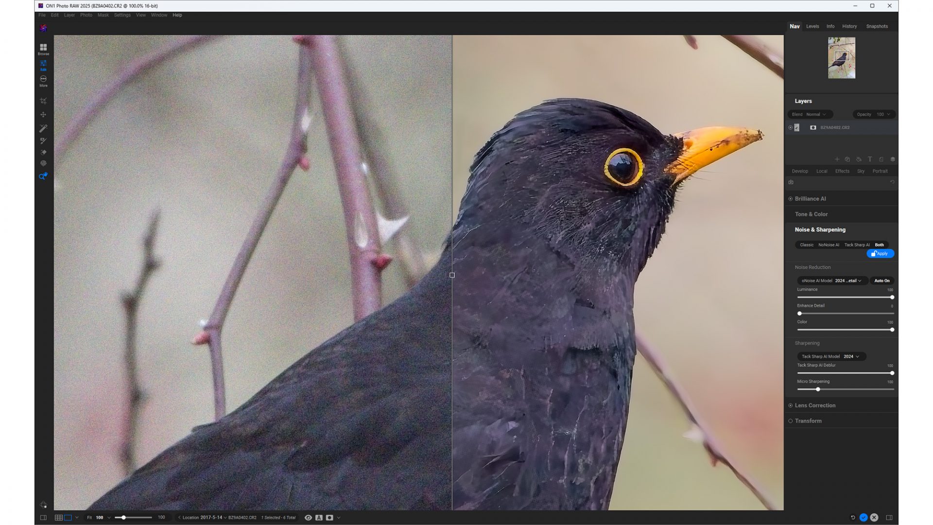 Обзор ON1 Photo Raw 2025: мощная альтернатива Lightroom