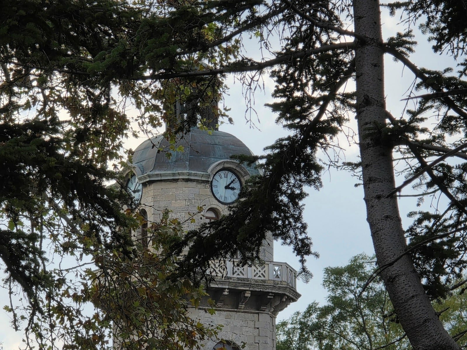 Vivo X300 Pro против Galaxy S25 Ultra: битва камер картинка Vivo X300 Pro против Galaxy S25 Ultra