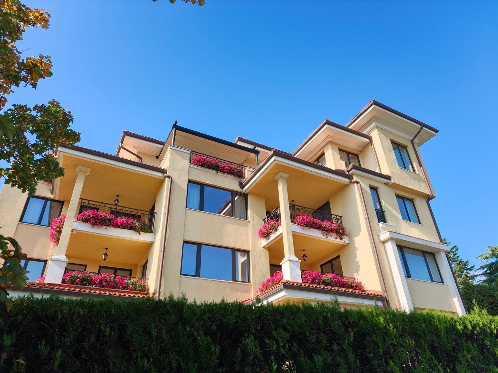 Сравнение камер Oppo Find X9 Pro и Galaxy S25 Ultra: чьи фотографии лучше? картинка Сравнение камер Oppo Find X9 Pro и Galaxy S25 Ultra: чья лучше?