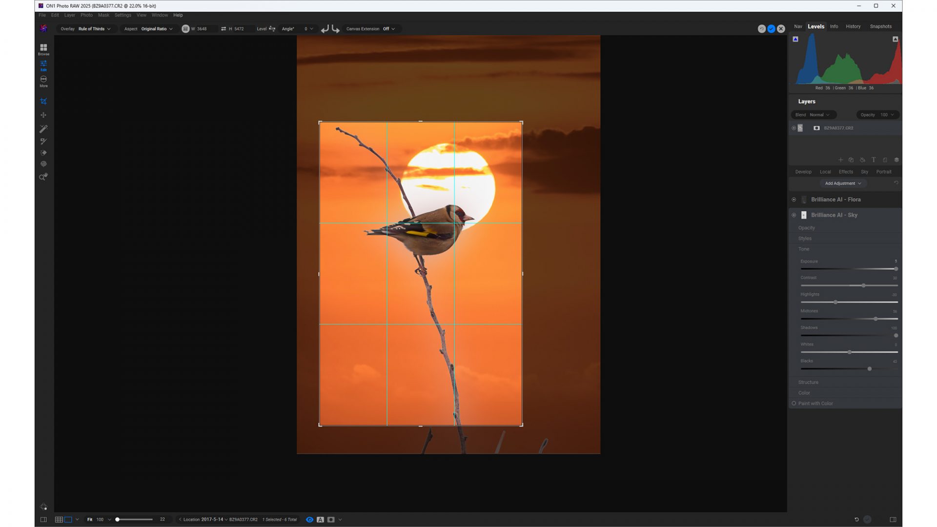Обзор ON1 Photo Raw 2025: мощная альтернатива Lightroom