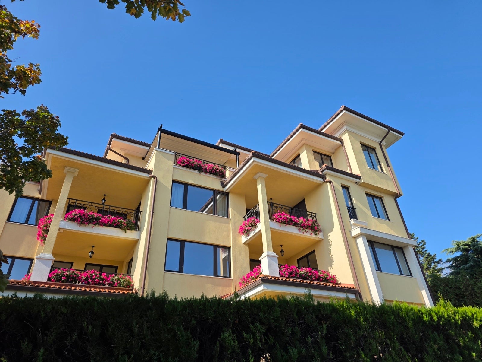 Сравнение камер Oppo Find X9 Pro и Galaxy S25 Ultra: чьи фотографии лучше? картинка Сравнение камер Oppo Find X9 Pro и Galaxy S25 Ultra: чья лучше?