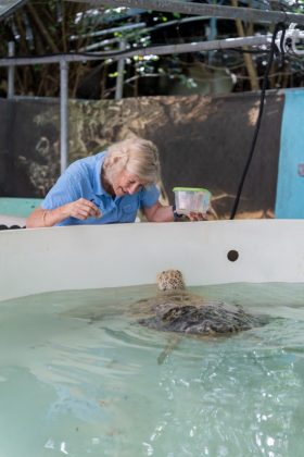 Seiko Prospex выпускает Diver's Australasian Limited Edition