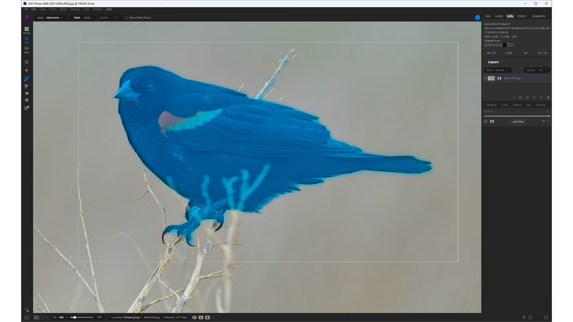 Обзор ON1 Photo Raw 2025: мощная альтернатива Lightroom