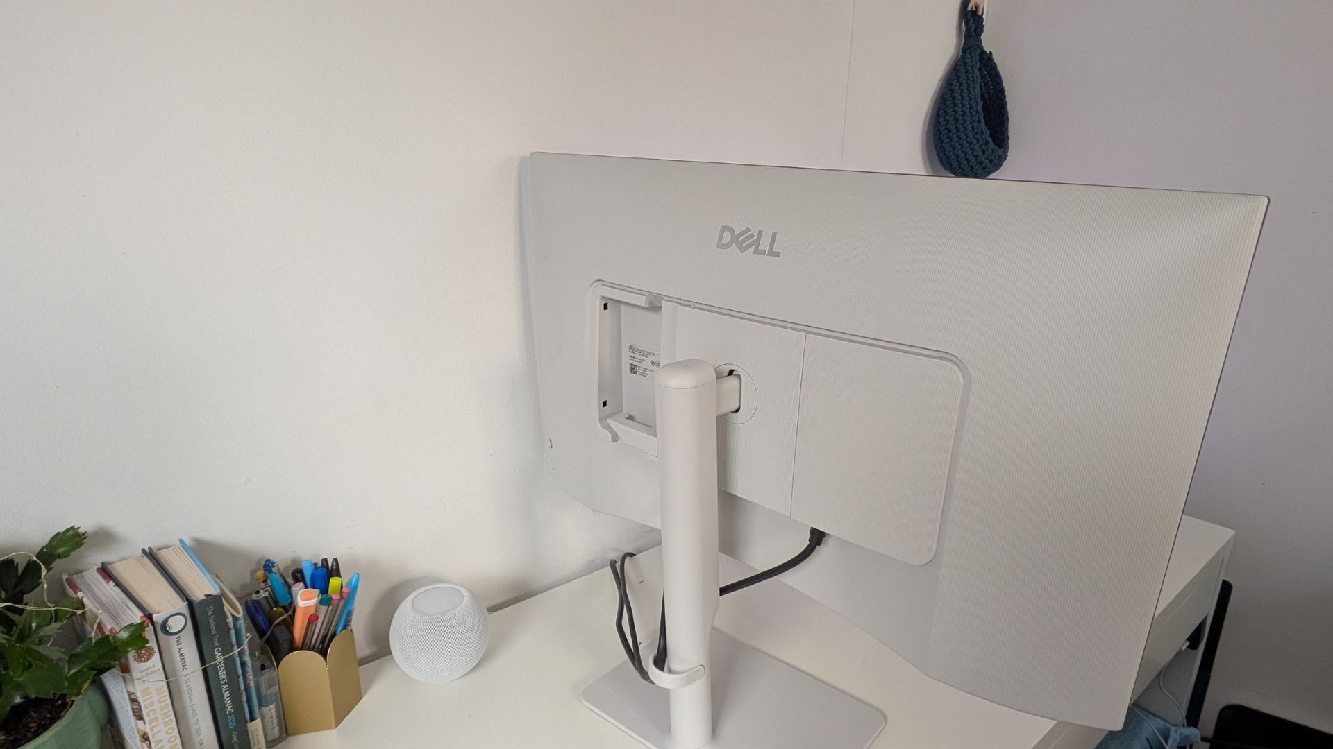 Обзор Dell 27 Plus 4K — отличный монитор для креатива картинка Dell 27 Plus 4K