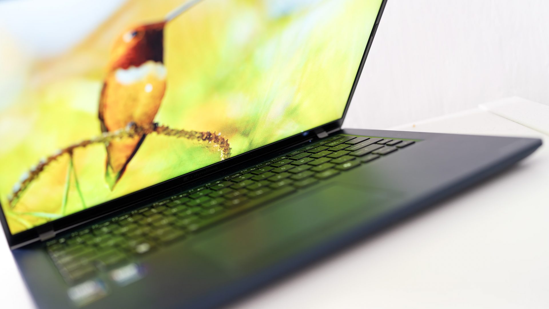 Обзор Dynabook Portégé Z40L-N — легчайший бизнес-ноутбук картинка Dynabook Portégé Z40L-N