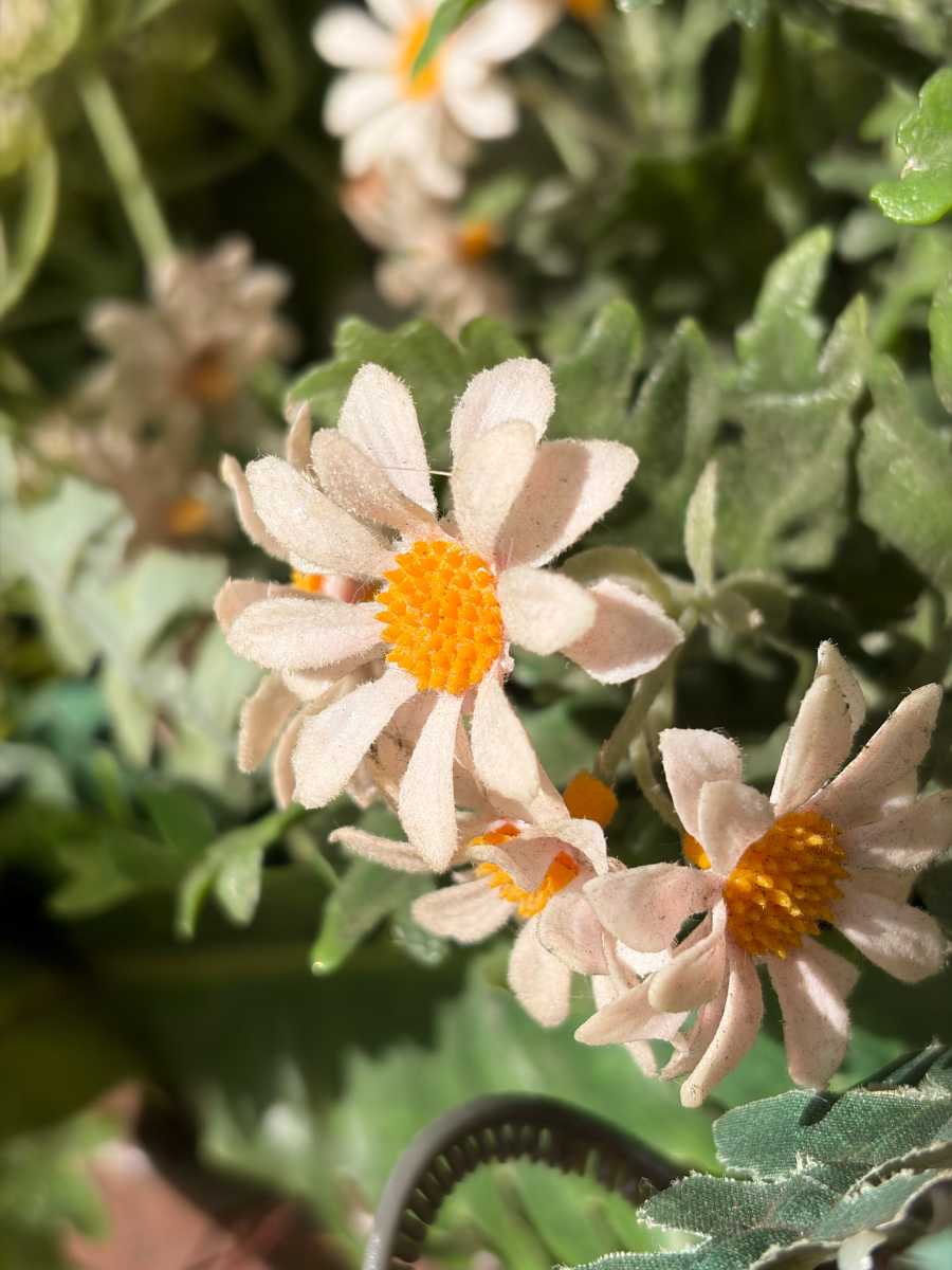 iPhone 17 против iPhone 16: разница поразительна