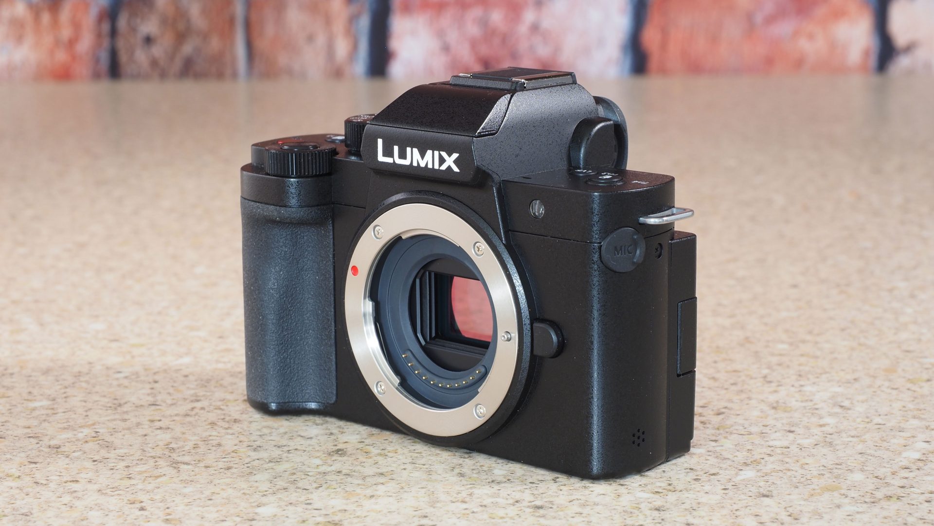 Panasonic Lumix G100D