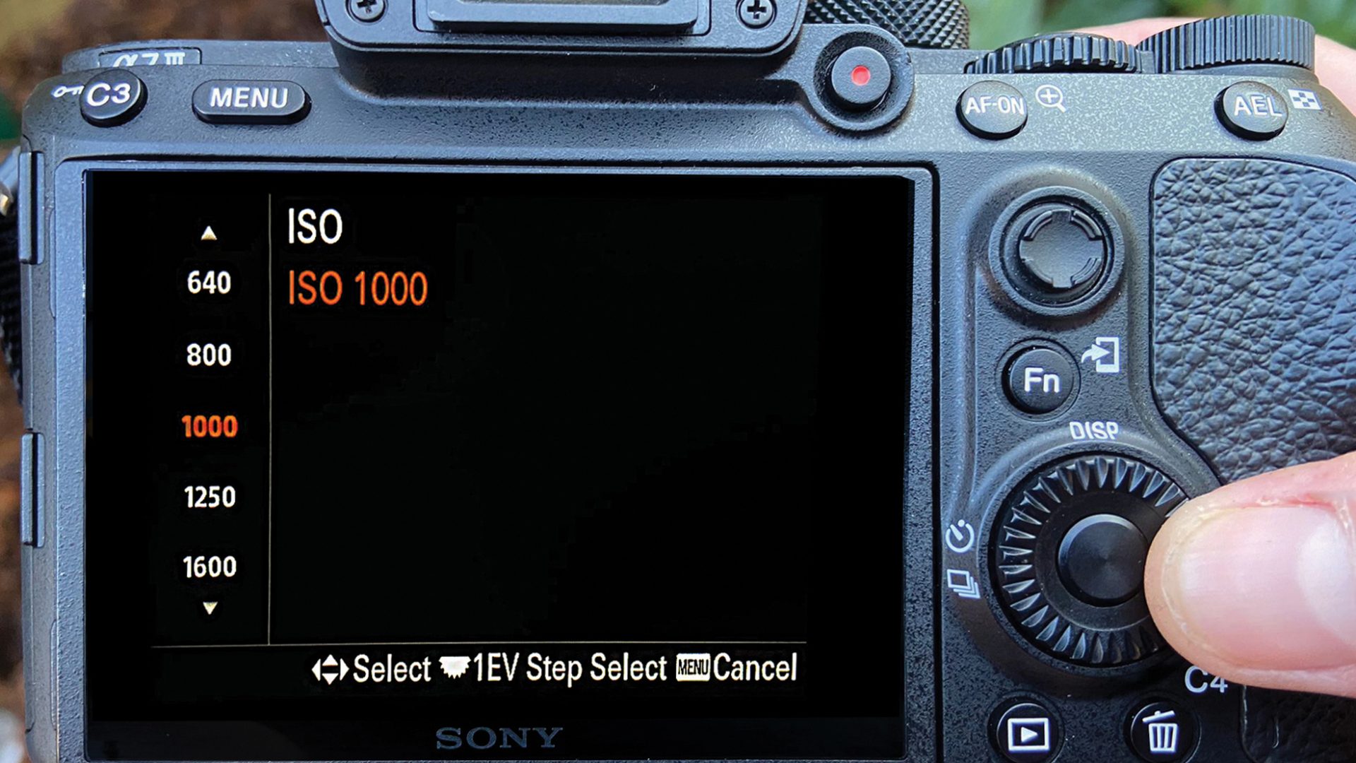 Пинхол-фотография: магия съёмки без объектива