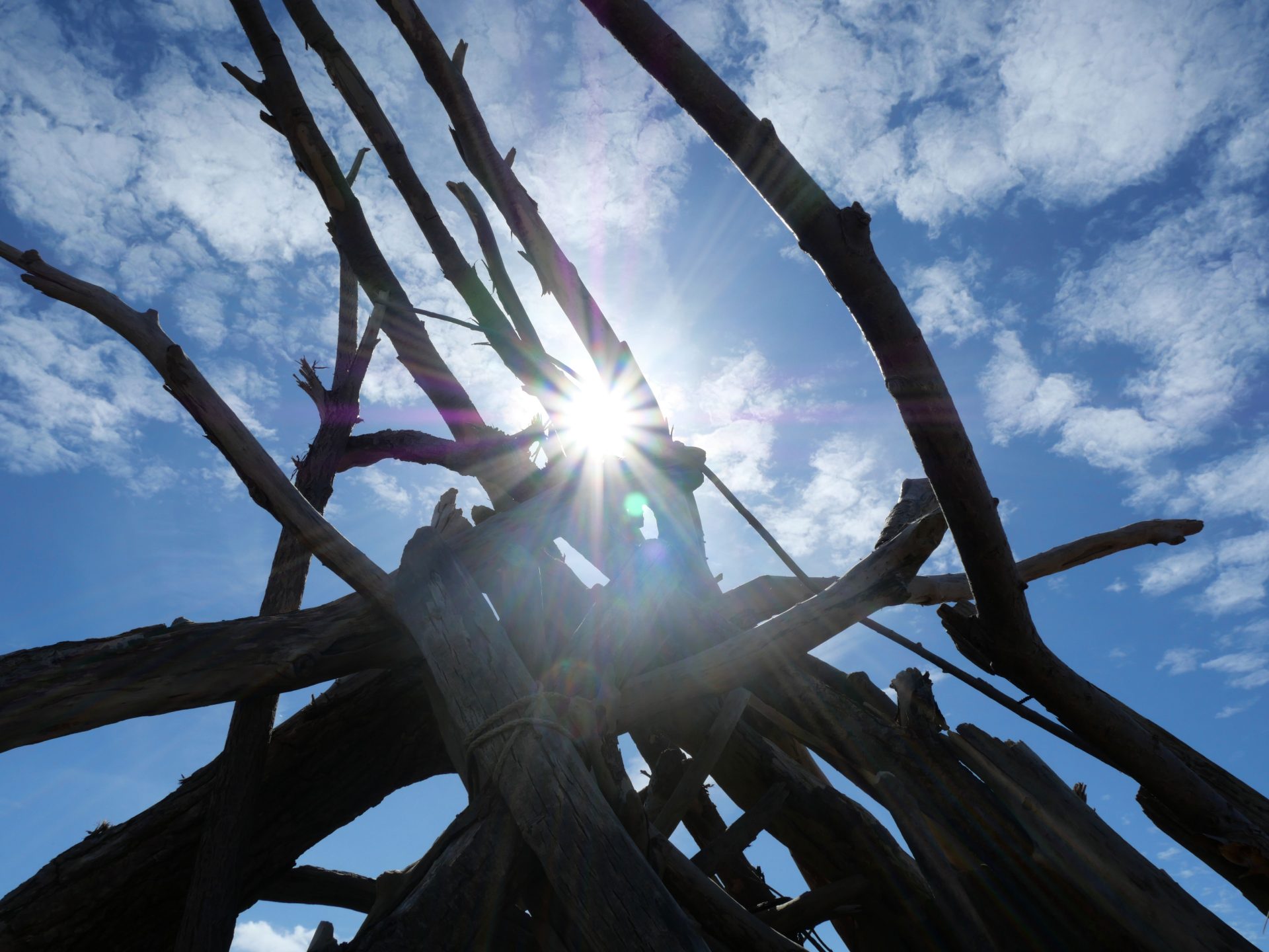 Panasonic Lumix G100D