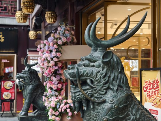 Vivo X300 Pro: флагман для настоящих фотографов