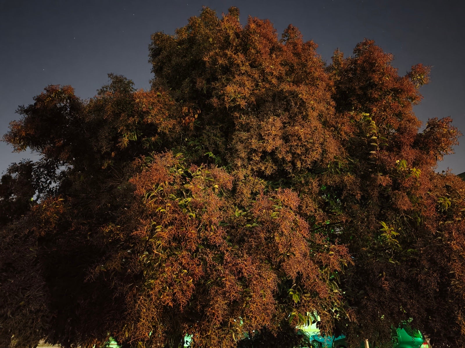 Сравнение камер Oppo Find X9 Pro и Galaxy S25 Ultra: чьи фотографии лучше? картинка Сравнение камер Oppo Find X9 Pro и Galaxy S25 Ultra: чья лучше?